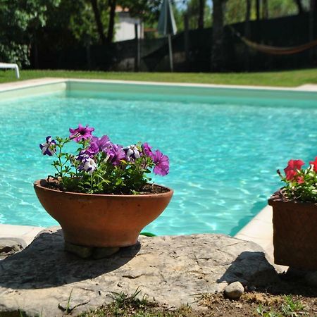 Apartamento A Casa Di Giulia Siena Exterior foto